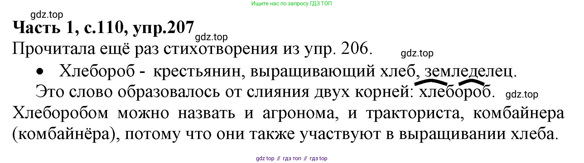 ГДЗ Русский язык, 4 класс Учебник, авторы: Канакина Валентина Павловна, Горецкий Всеслав Гаврилович, издательство Просвещение, Москва, 2023, белого цвета, Часть 1, страница 110, номер 207, Решение