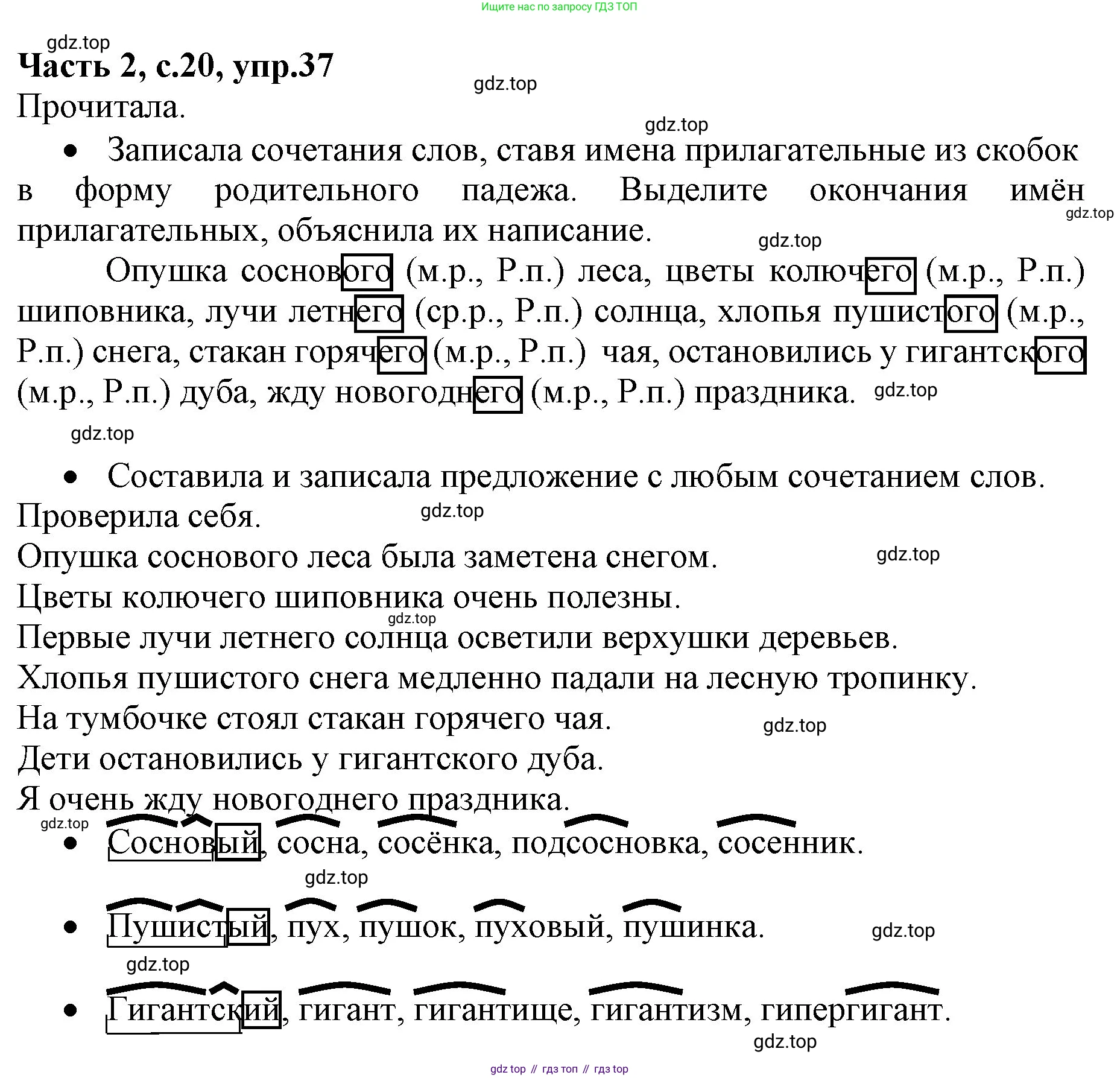 ГДЗ Русский язык, 4 класс Учебник, авторы: Канакина Валентина Павловна, Горецкий Всеслав Гаврилович, издательство Просвещение, Москва, 2023, белого цвета, Часть 2, страница 20, номер 37, Решение