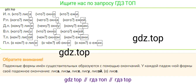 ГДЗ Русский язык, 4 класс Учебник, авторы: Канакина Валентина Павловна, Горецкий Всеслав Гаврилович, издательство Просвещение, Москва, 2023, белого цвета, Часть 1, страница 81, номер 142, Решение