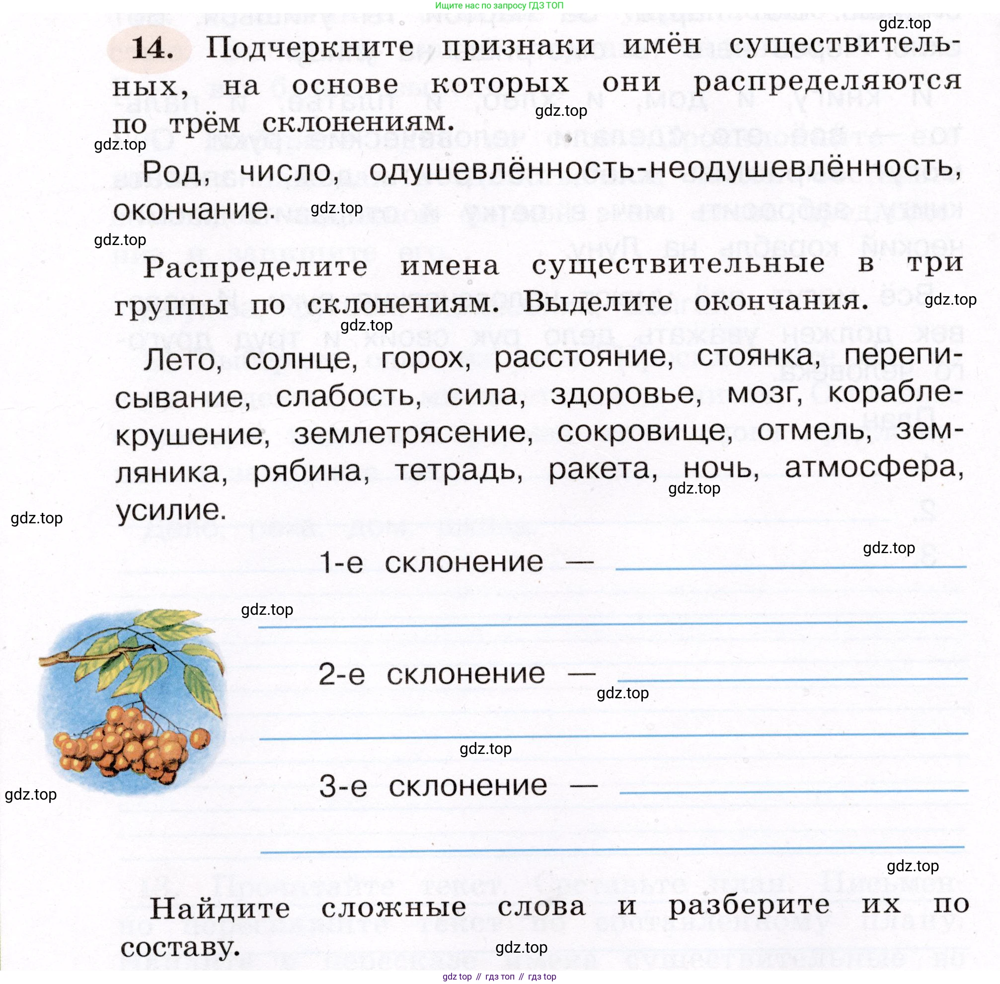 ГДЗ Русский язык, 4 класс рабочая тетрадь, авторы: Климанова Людмила Федоровна, Бабушкина Татьяна Владимировна, издательство Просвещение, Москва, 2019, белого цвета, Часть 2, страница 12, номер 14, Условие