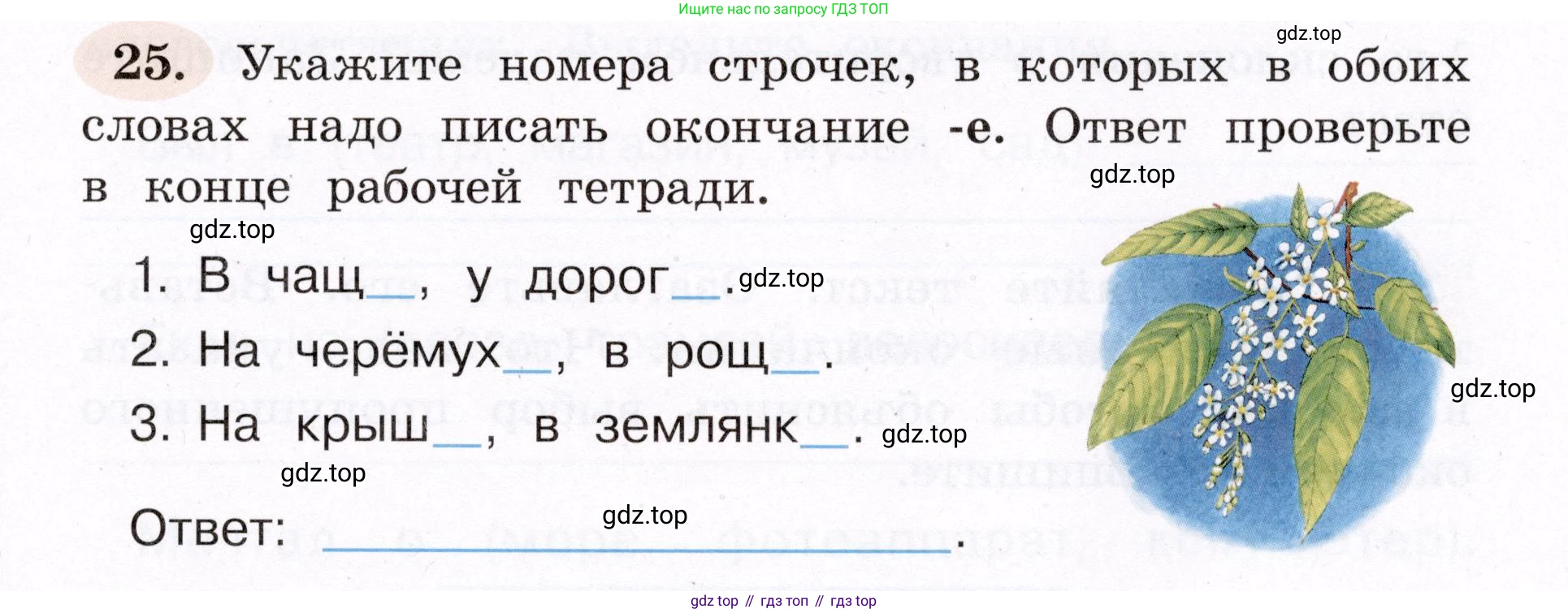 ГДЗ Русский язык, 4 класс рабочая тетрадь, авторы: Климанова Людмила Федоровна, Бабушкина Татьяна Владимировна, издательство Просвещение, Москва, 2019, белого цвета, Часть 2, страница 19, номер 25, Условие