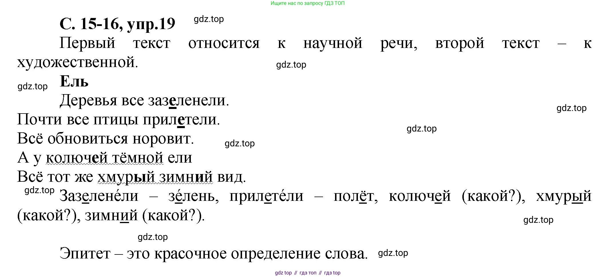 ГДЗ Русский язык, 4 класс рабочая тетрадь, авторы: Климанова Людмила Федоровна, Бабушкина Татьяна Владимировна, издательство Просвещение, Москва, 2019, белого цвета, Часть 1, страница 15, номер 19, Решение