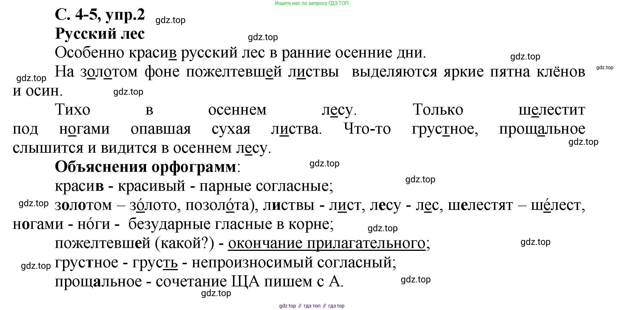 ГДЗ Русский язык, 4 класс рабочая тетрадь, авторы: Климанова Людмила Федоровна, Бабушкина Татьяна Владимировна, издательство Просвещение, Москва, 2019, белого цвета, Часть 1, страница 4, номер 2, Решение
