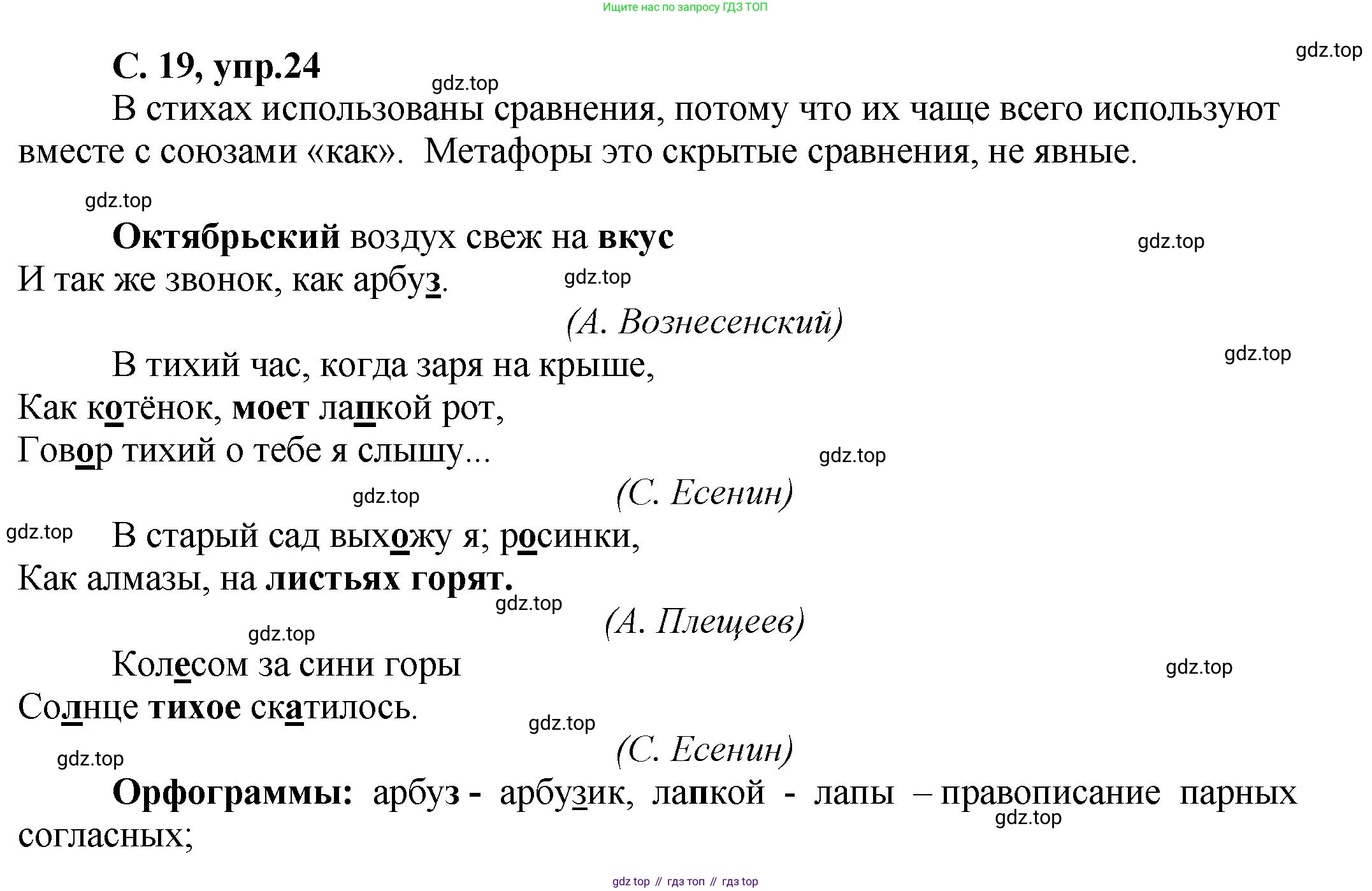 ГДЗ Русский язык, 4 класс рабочая тетрадь, авторы: Климанова Людмила Федоровна, Бабушкина Татьяна Владимировна, издательство Просвещение, Москва, 2019, белого цвета, Часть 1, страница 19, номер 24, Решение