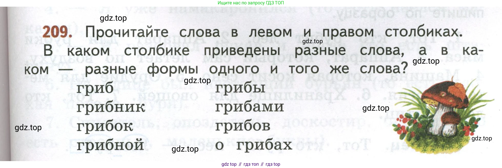 Русский язык, 4 класс Учебник, авторы: Климанова Людмила Федоровна, Бабушкина Татьяна Владимировна, издательство Просвещение, Москва, 2019, белого цвета, Часть 1, страница 125, номер 209, Условие