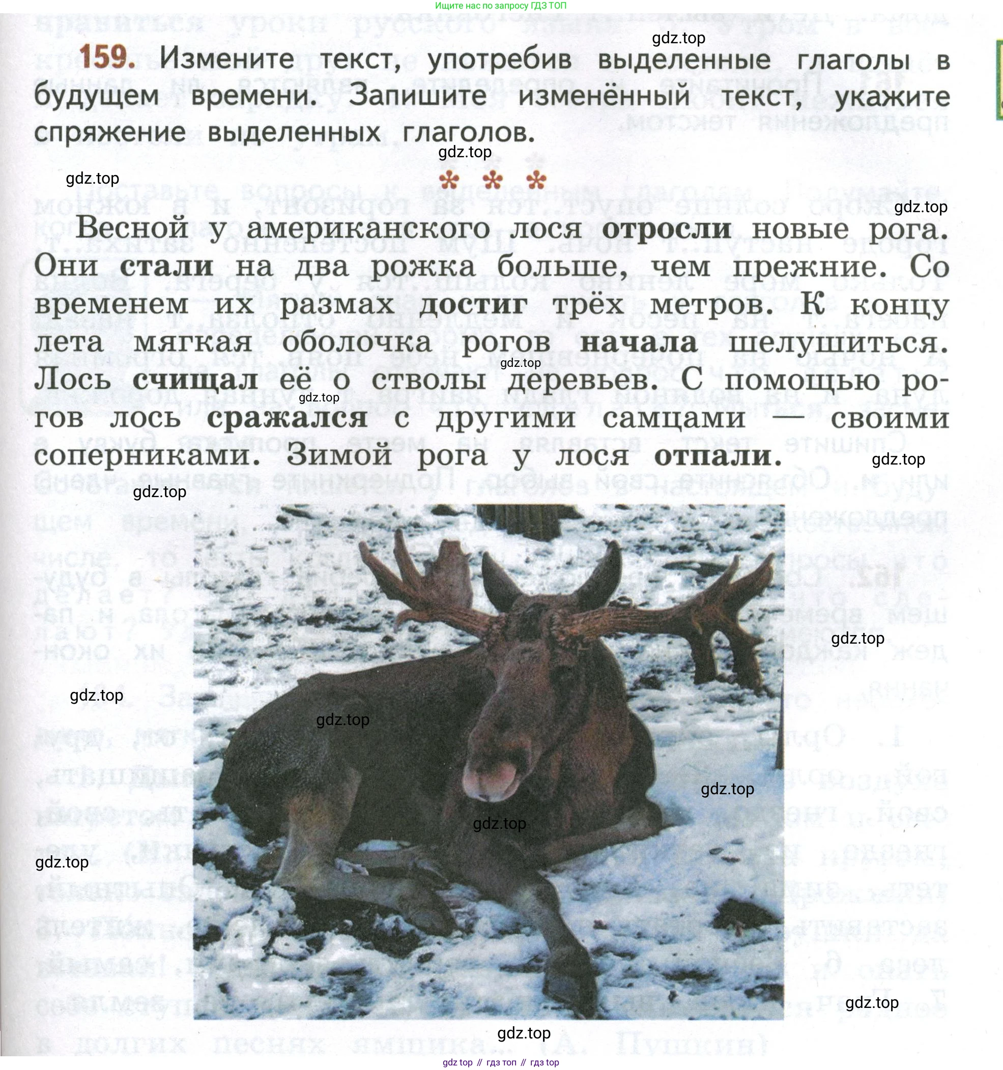 Русский язык, 4 класс Учебник, авторы: Климанова Людмила Федоровна, Бабушкина Татьяна Владимировна, издательство Просвещение, Москва, 2019, белого цвета, Часть 2, страница 101, номер 159, Условие