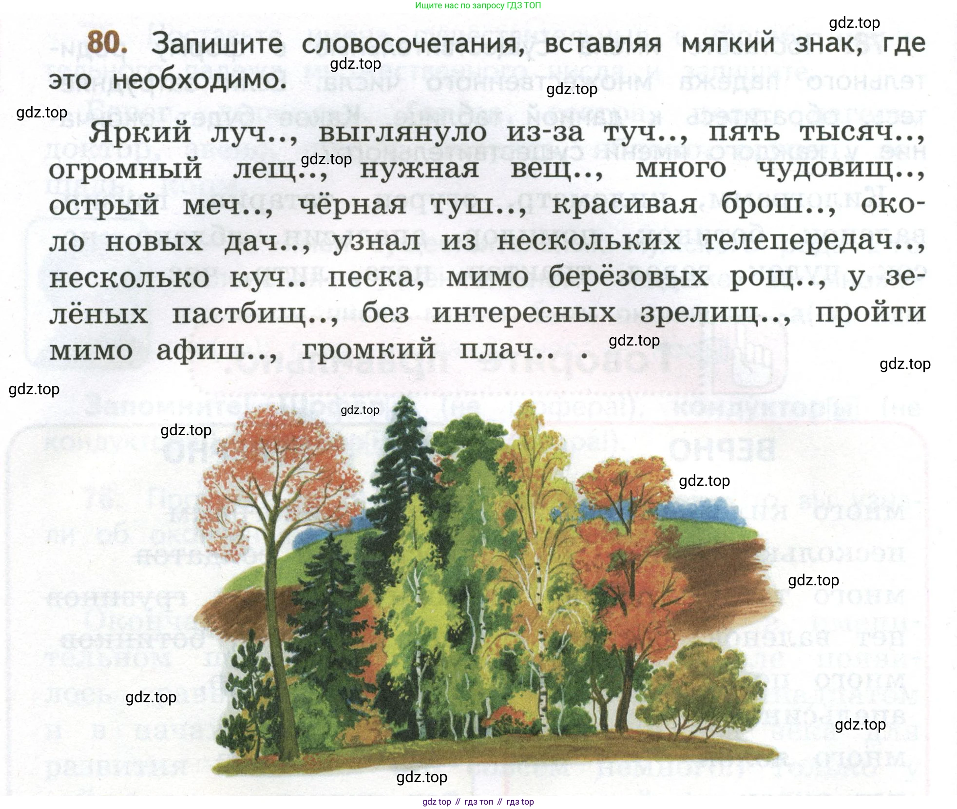 Русский язык, 4 класс Учебник, авторы: Климанова Людмила Федоровна, Бабушкина Татьяна Владимировна, издательство Просвещение, Москва, 2019, белого цвета, Часть 2, страница 46, номер 80, Условие