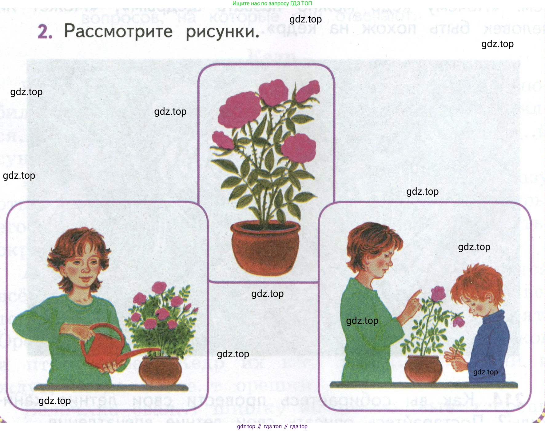Русский язык, 4 класс Учебник, авторы: Климанова Людмила Федоровна, Бабушкина Татьяна Владимировна, издательство Просвещение, Москва, 2019, белого цвета, Часть 2, страница 136, номер 2, Условие