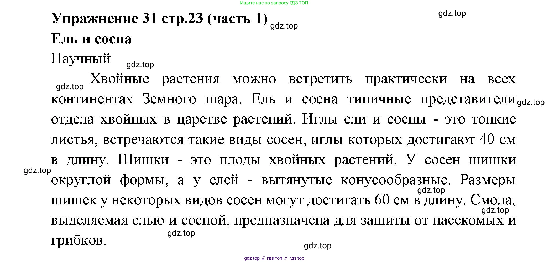 Русский язык, 4 класс Учебник, авторы: Климанова Людмила Федоровна, Бабушкина Татьяна Владимировна, издательство Просвещение, Москва, 2019, белого цвета, Часть 1, страница 23, номер 31, Решение