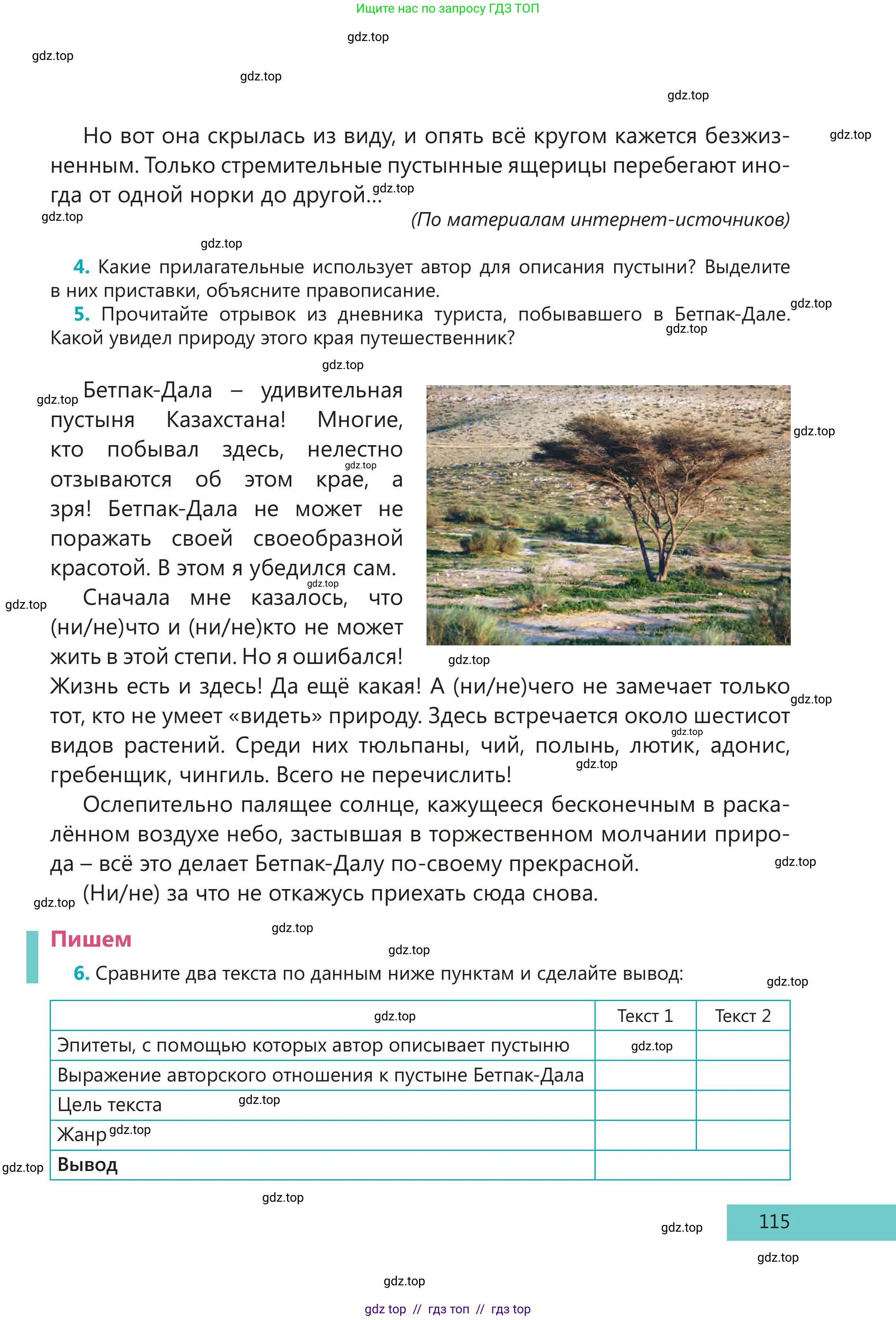 Русский язык, 5 класс Учебник, авторы: Клокова Елена Валерьевна, Белозёрова Ольга Игоревна, Ибраева Таскира Ильшатовна, Сулейменова Бахиевна Гульсайран, Муханбеткалиев Аскен Самуратович, Касымова Айман Берденовна, Опря Оксана Викторовна, издательство АОО «Назарбаев Интеллектуальные школы», Астана, 2018, Часть 2, страница 115