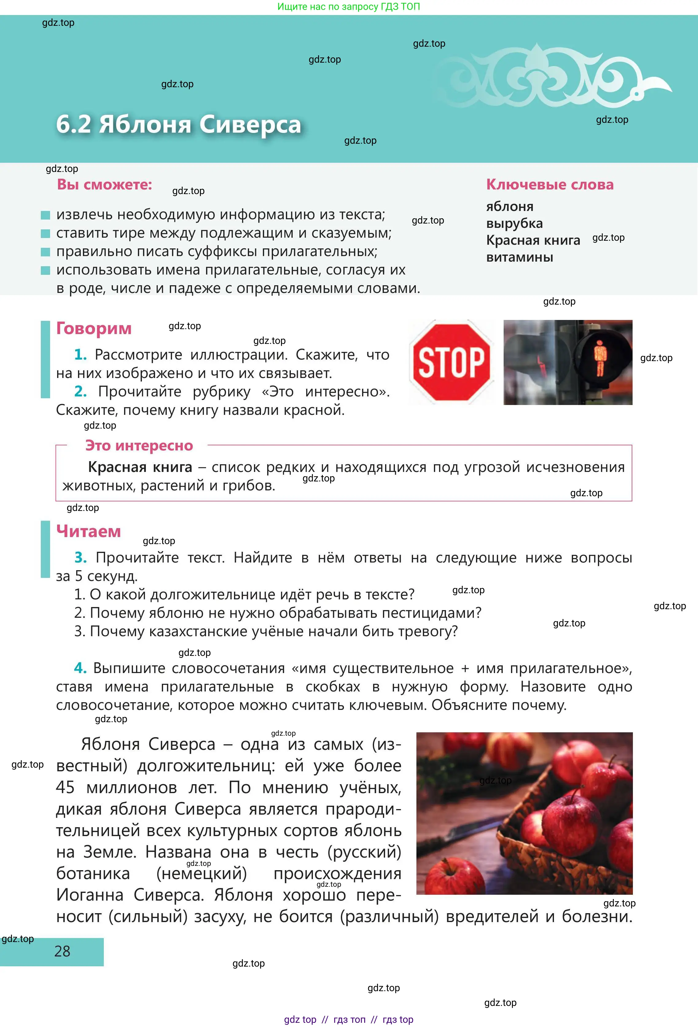 Русский язык, 5 класс Учебник, авторы: Клокова Елена Валерьевна, Белозёрова Ольга Игоревна, Ибраева Таскира Ильшатовна, Сулейменова Бахиевна Гульсайран, Муханбеткалиев Аскен Самуратович, Касымова Айман Берденовна, Опря Оксана Викторовна, издательство АОО «Назарбаев Интеллектуальные школы», Астана, 2018, Часть 2, страница 28