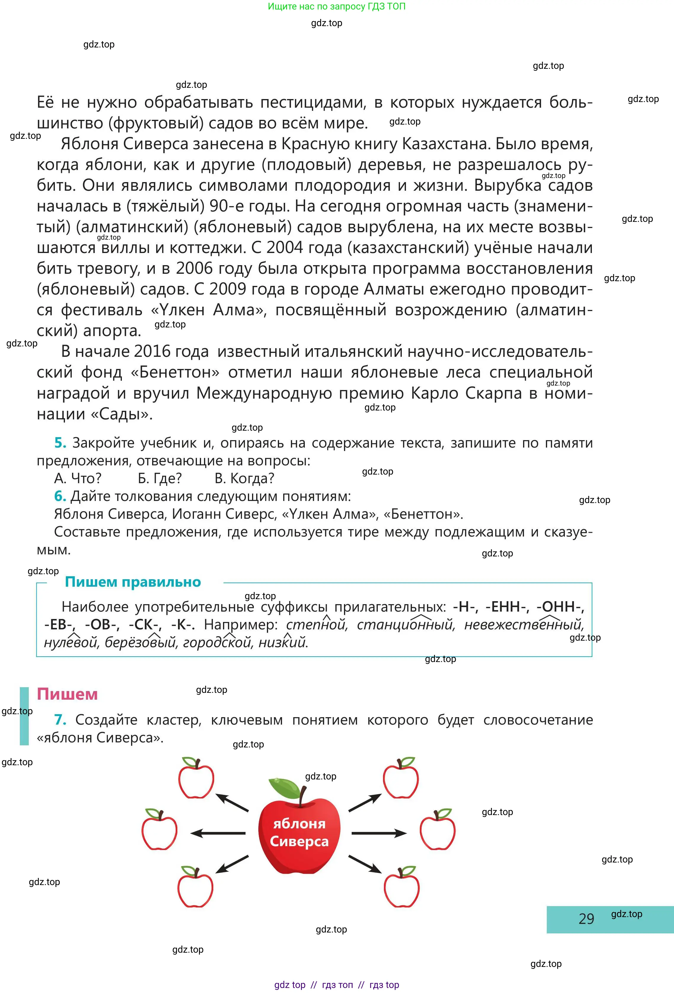 Русский язык, 5 класс Учебник, авторы: Клокова Елена Валерьевна, Белозёрова Ольга Игоревна, Ибраева Таскира Ильшатовна, Сулейменова Бахиевна Гульсайран, Муханбеткалиев Аскен Самуратович, Касымова Айман Берденовна, Опря Оксана Викторовна, издательство АОО «Назарбаев Интеллектуальные школы», Астана, 2018, Часть 2, страница 29