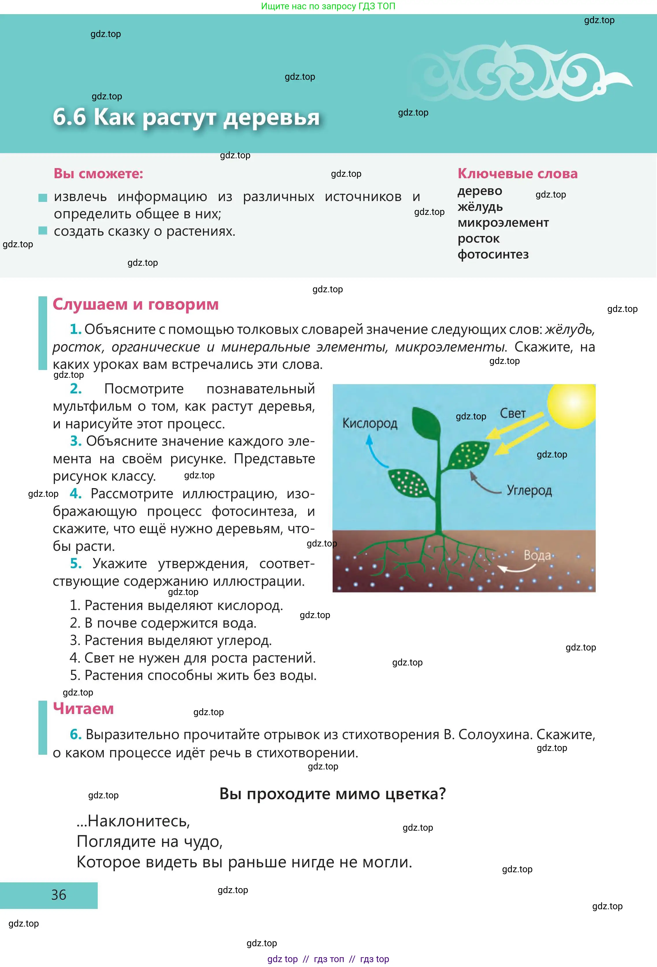 Русский язык, 5 класс Учебник, авторы: Клокова Елена Валерьевна, Белозёрова Ольга Игоревна, Ибраева Таскира Ильшатовна, Сулейменова Бахиевна Гульсайран, Муханбеткалиев Аскен Самуратович, Касымова Айман Берденовна, Опря Оксана Викторовна, издательство АОО «Назарбаев Интеллектуальные школы», Астана, 2018, Часть 2, страница 36