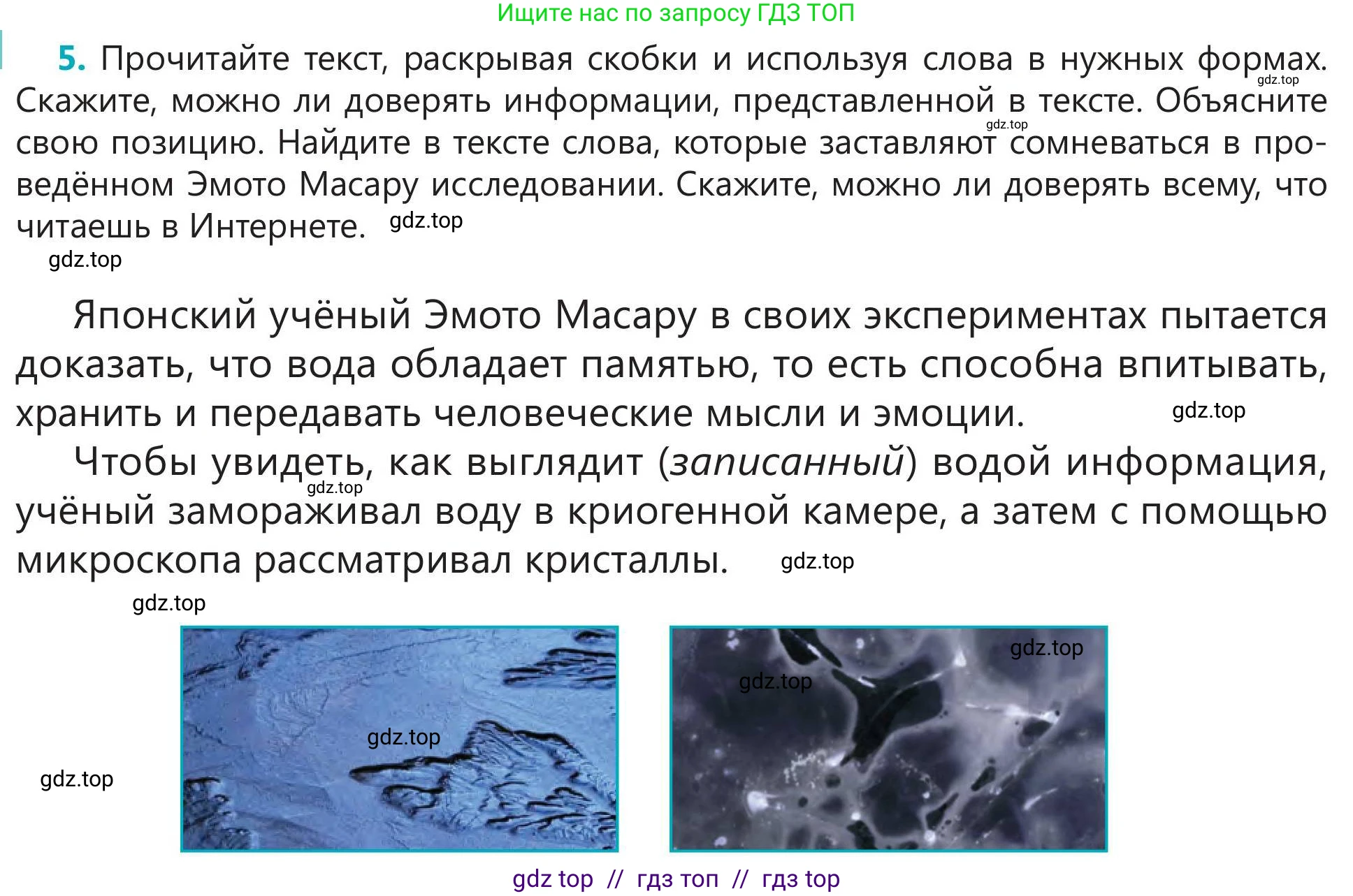 Русский язык, 5 класс Учебник, авторы: Клокова Елена Валерьевна, Белозёрова Ольга Игоревна, Ибраева Таскира Ильшатовна, Сулейменова Бахиевна Гульсайран, Муханбеткалиев Аскен Самуратович, Касымова Айман Берденовна, Опря Оксана Викторовна, издательство АОО «Назарбаев Интеллектуальные школы», Астана, 2018, Часть 2, страница 22, номер 5, Условие