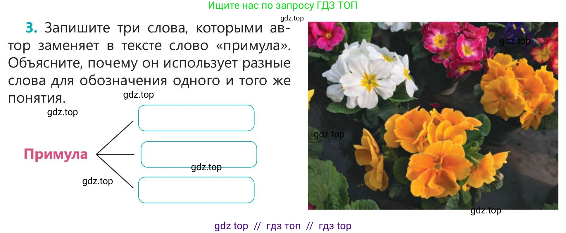 Русский язык, 5 класс Учебник, авторы: Клокова Елена Валерьевна, Белозёрова Ольга Игоревна, Ибраева Таскира Ильшатовна, Сулейменова Бахиевна Гульсайран, Муханбеткалиев Аскен Самуратович, Касымова Айман Берденовна, Опря Оксана Викторовна, издательство АОО «Назарбаев Интеллектуальные школы», Астана, 2018, Часть 2, страница 27, номер 3, Условие