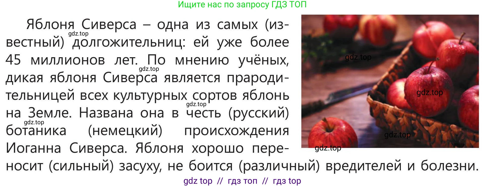 Русский язык, 5 класс Учебник, авторы: Клокова Елена Валерьевна, Белозёрова Ольга Игоревна, Ибраева Таскира Ильшатовна, Сулейменова Бахиевна Гульсайран, Муханбеткалиев Аскен Самуратович, Касымова Айман Берденовна, Опря Оксана Викторовна, издательство АОО «Назарбаев Интеллектуальные школы», Астана, 2018, Часть 2, страница 28, номер 3, Условие (продолжение 2)
