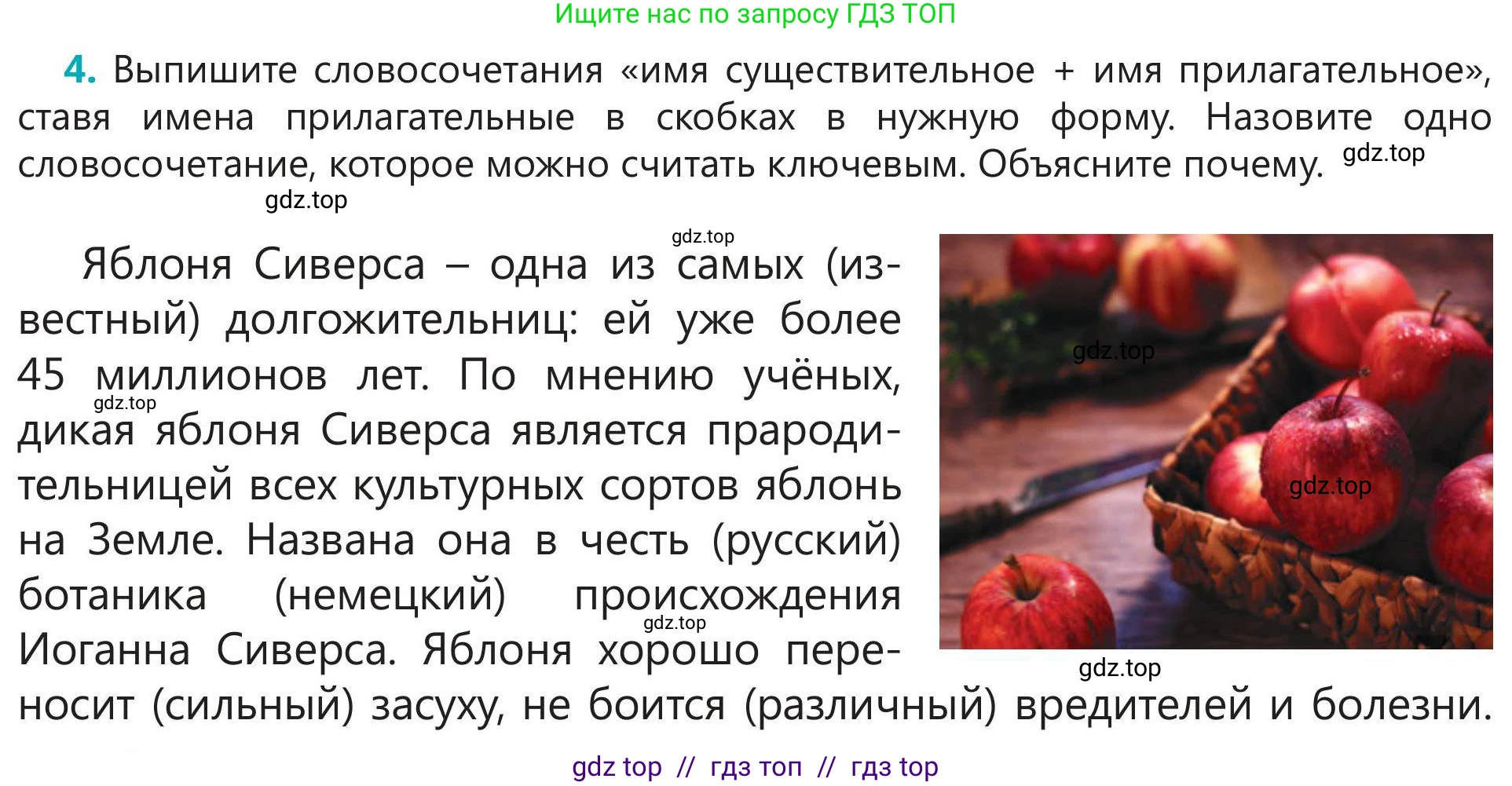 Русский язык, 5 класс Учебник, авторы: Клокова Елена Валерьевна, Белозёрова Ольга Игоревна, Ибраева Таскира Ильшатовна, Сулейменова Бахиевна Гульсайран, Муханбеткалиев Аскен Самуратович, Касымова Айман Берденовна, Опря Оксана Викторовна, издательство АОО «Назарбаев Интеллектуальные школы», Астана, 2018, Часть 2, страница 28, номер 4, Условие