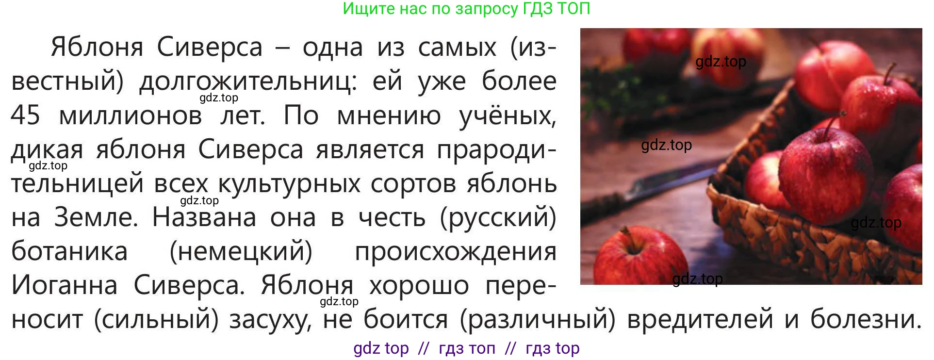 Русский язык, 5 класс Учебник, авторы: Клокова Елена Валерьевна, Белозёрова Ольга Игоревна, Ибраева Таскира Ильшатовна, Сулейменова Бахиевна Гульсайран, Муханбеткалиев Аскен Самуратович, Касымова Айман Берденовна, Опря Оксана Викторовна, издательство АОО «Назарбаев Интеллектуальные школы», Астана, 2018, Часть 2, страница 29, номер 6, Условие (продолжение 2)
