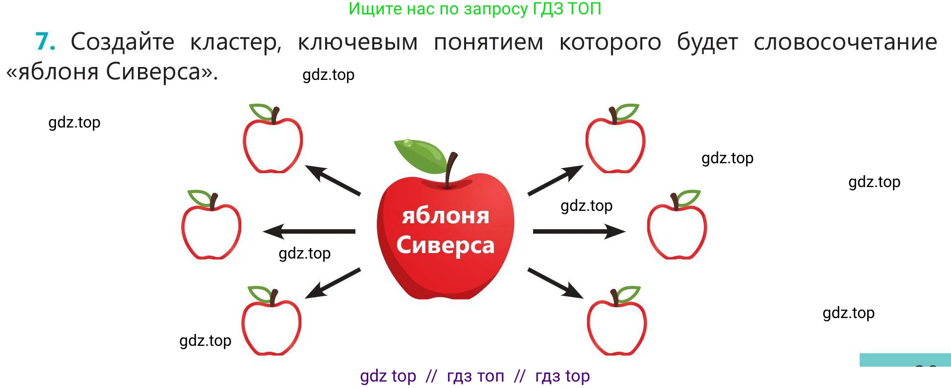Русский язык, 5 класс Учебник, авторы: Клокова Елена Валерьевна, Белозёрова Ольга Игоревна, Ибраева Таскира Ильшатовна, Сулейменова Бахиевна Гульсайран, Муханбеткалиев Аскен Самуратович, Касымова Айман Берденовна, Опря Оксана Викторовна, издательство АОО «Назарбаев Интеллектуальные школы», Астана, 2018, Часть 2, страница 29, номер 7, Условие
