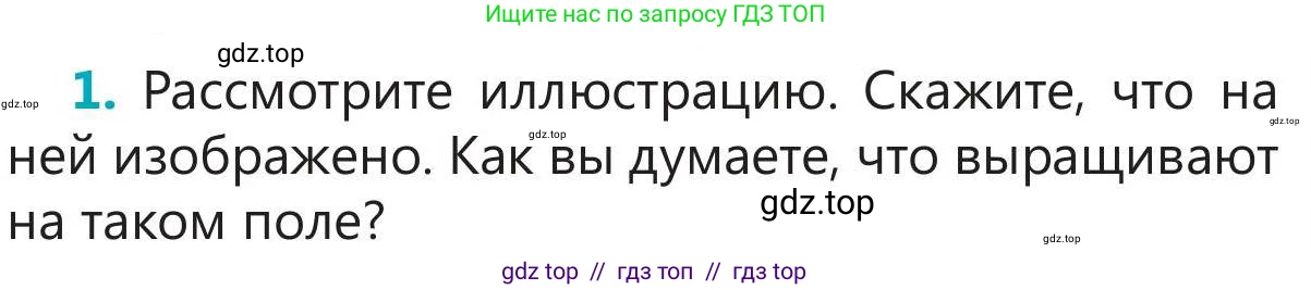 Русский язык, 5 класс Учебник, авторы: Клокова Елена Валерьевна, Белозёрова Ольга Игоревна, Ибраева Таскира Ильшатовна, Сулейменова Бахиевна Гульсайран, Муханбеткалиев Аскен Самуратович, Касымова Айман Берденовна, Опря Оксана Викторовна, издательство АОО «Назарбаев Интеллектуальные школы», Астана, 2018, Часть 2, страница 34, номер 1, Условие