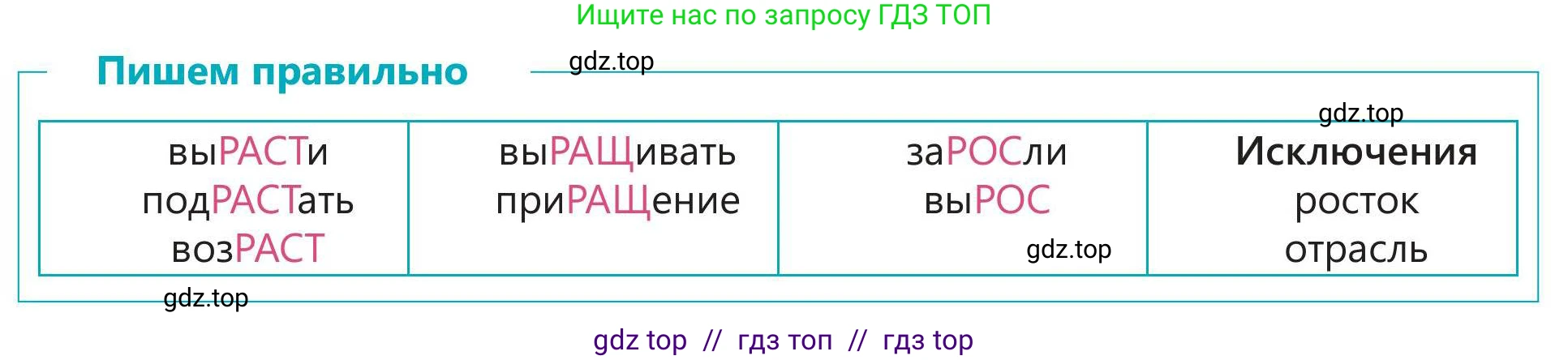 Русский язык, 5 класс Учебник, авторы: Клокова Елена Валерьевна, Белозёрова Ольга Игоревна, Ибраева Таскира Ильшатовна, Сулейменова Бахиевна Гульсайран, Муханбеткалиев Аскен Самуратович, Касымова Айман Берденовна, Опря Оксана Викторовна, издательство АОО «Назарбаев Интеллектуальные школы», Астана, 2018, Часть 2, страница 34, номер 4, Условие (продолжение 2)