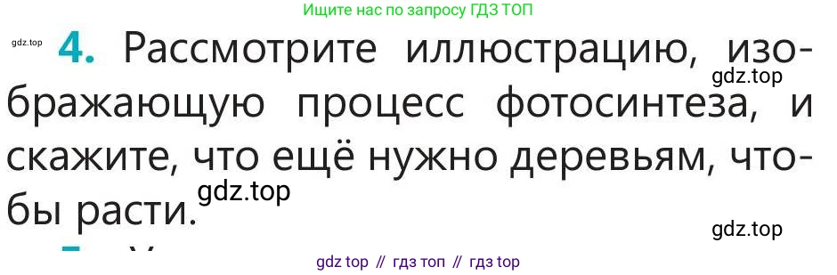 Русский язык, 5 класс Учебник, авторы: Клокова Елена Валерьевна, Белозёрова Ольга Игоревна, Ибраева Таскира Ильшатовна, Сулейменова Бахиевна Гульсайран, Муханбеткалиев Аскен Самуратович, Касымова Айман Берденовна, Опря Оксана Викторовна, издательство АОО «Назарбаев Интеллектуальные школы», Астана, 2018, Часть 2, страница 36, номер 4, Условие
