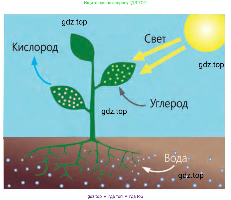 Русский язык, 5 класс Учебник, авторы: Клокова Елена Валерьевна, Белозёрова Ольга Игоревна, Ибраева Таскира Ильшатовна, Сулейменова Бахиевна Гульсайран, Муханбеткалиев Аскен Самуратович, Касымова Айман Берденовна, Опря Оксана Викторовна, издательство АОО «Назарбаев Интеллектуальные школы», Астана, 2018, Часть 2, страница 36, номер 4, Условие (продолжение 2)
