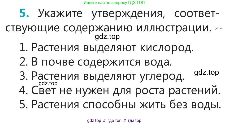 Русский язык, 5 класс Учебник, авторы: Клокова Елена Валерьевна, Белозёрова Ольга Игоревна, Ибраева Таскира Ильшатовна, Сулейменова Бахиевна Гульсайран, Муханбеткалиев Аскен Самуратович, Касымова Айман Берденовна, Опря Оксана Викторовна, издательство АОО «Назарбаев Интеллектуальные школы», Астана, 2018, Часть 2, страница 36, номер 5, Условие