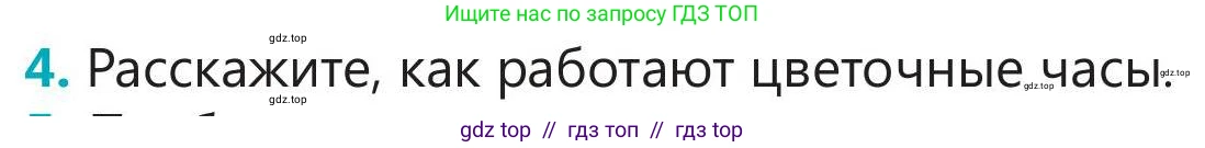 Русский язык, 5 класс Учебник, авторы: Клокова Елена Валерьевна, Белозёрова Ольга Игоревна, Ибраева Таскира Ильшатовна, Сулейменова Бахиевна Гульсайран, Муханбеткалиев Аскен Самуратович, Касымова Айман Берденовна, Опря Оксана Викторовна, издательство АОО «Назарбаев Интеллектуальные школы», Астана, 2018, Часть 2, страница 43, номер 4, Условие