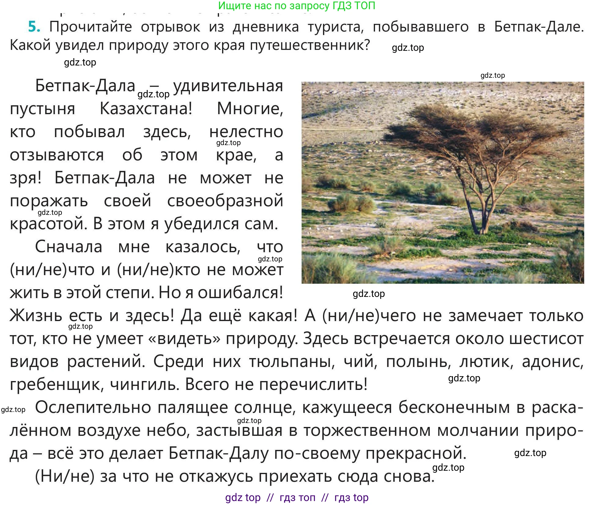Русский язык, 5 класс Учебник, авторы: Клокова Елена Валерьевна, Белозёрова Ольга Игоревна, Ибраева Таскира Ильшатовна, Сулейменова Бахиевна Гульсайран, Муханбеткалиев Аскен Самуратович, Касымова Айман Берденовна, Опря Оксана Викторовна, издательство АОО «Назарбаев Интеллектуальные школы», Астана, 2018, Часть 2, страница 115, номер 5, Условие