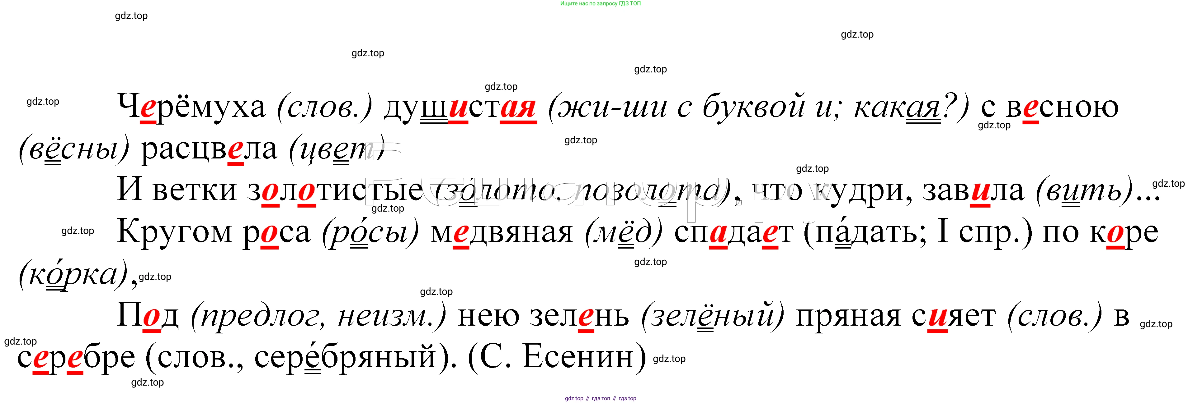 ГДЗ Русский язык, 5 класс Учебник, авторы: Купалова Александра Юльевна, Еремеева Ангелина Павловна, Лидман-Орлова Галина Кузьминична, Пименова Светлана Николаевна, Молодцова Светлана Николаевна, Пахнова Т М, Пичугов Юрий Степанович, Талалаева Л Ф, издательство Просвещение, Москва, 2021, белого цвета, страница 60, номер 172, Решение 2