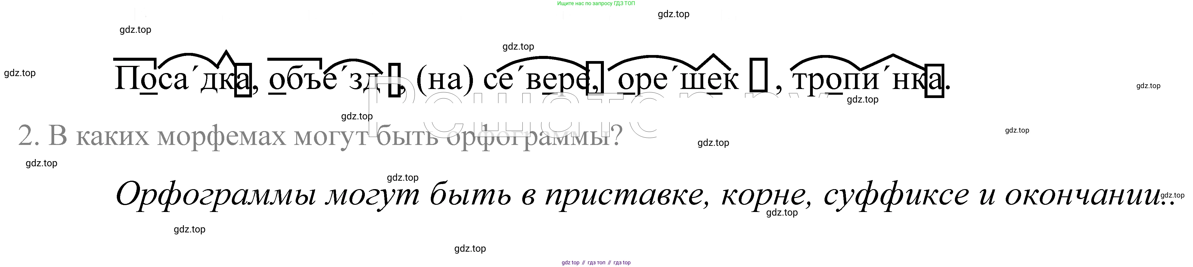 ГДЗ Русский язык, 5 класс Учебник, авторы: Купалова Александра Юльевна, Еремеева Ангелина Павловна, Лидман-Орлова Галина Кузьминична, Пименова Светлана Николаевна, Молодцова Светлана Николаевна, Пахнова Т М, Пичугов Юрий Степанович, Талалаева Л Ф, издательство Просвещение, Москва, 2021, белого цвета, страница 16, номер 21, Решение 2