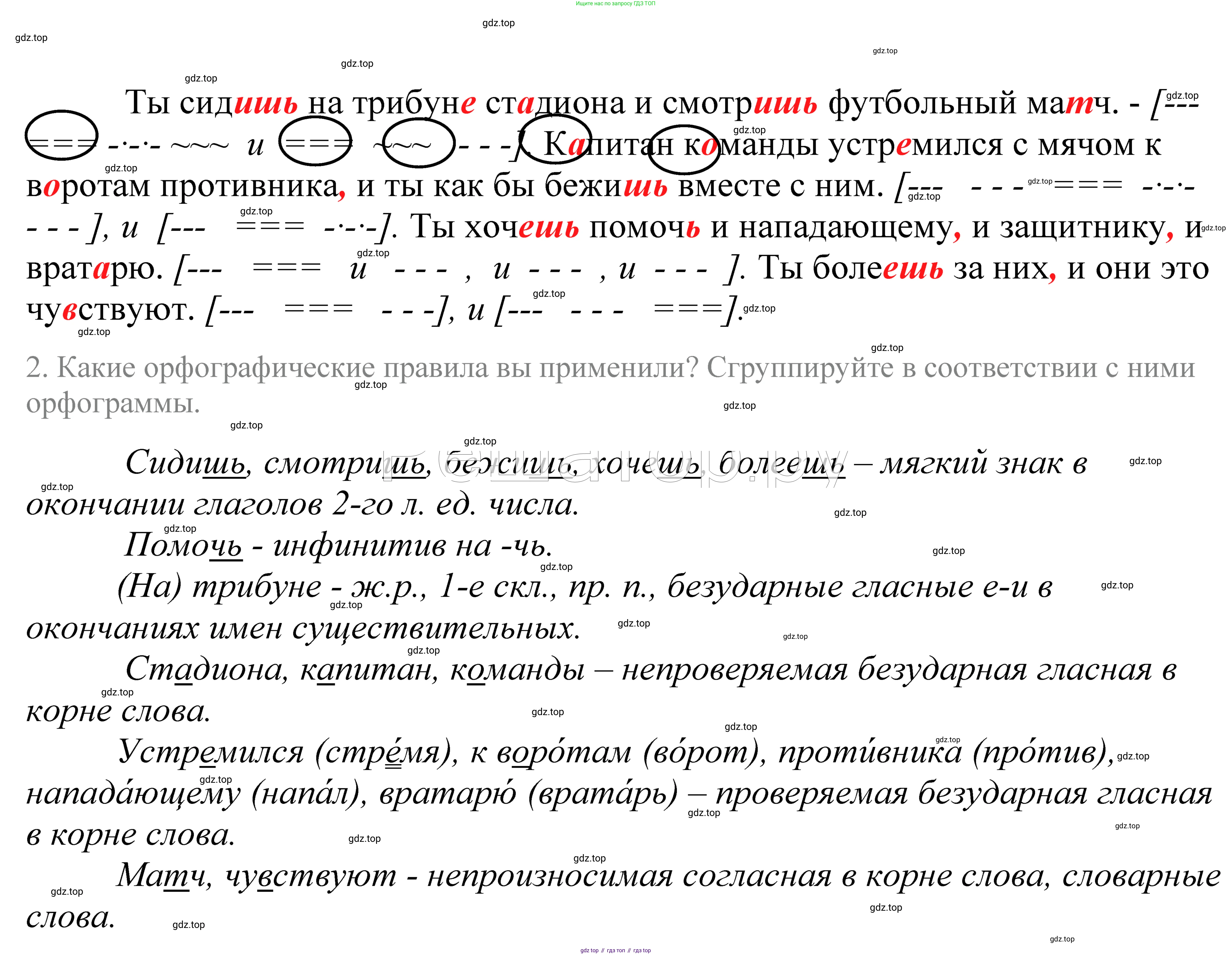 ГДЗ Русский язык, 5 класс Учебник, авторы: Купалова Александра Юльевна, Еремеева Ангелина Павловна, Лидман-Орлова Галина Кузьминична, Пименова Светлана Николаевна, Молодцова Светлана Николаевна, Пахнова Т М, Пичугов Юрий Степанович, Талалаева Л Ф, издательство Просвещение, Москва, 2021, белого цвета, страница 97, номер 295, Решение 2