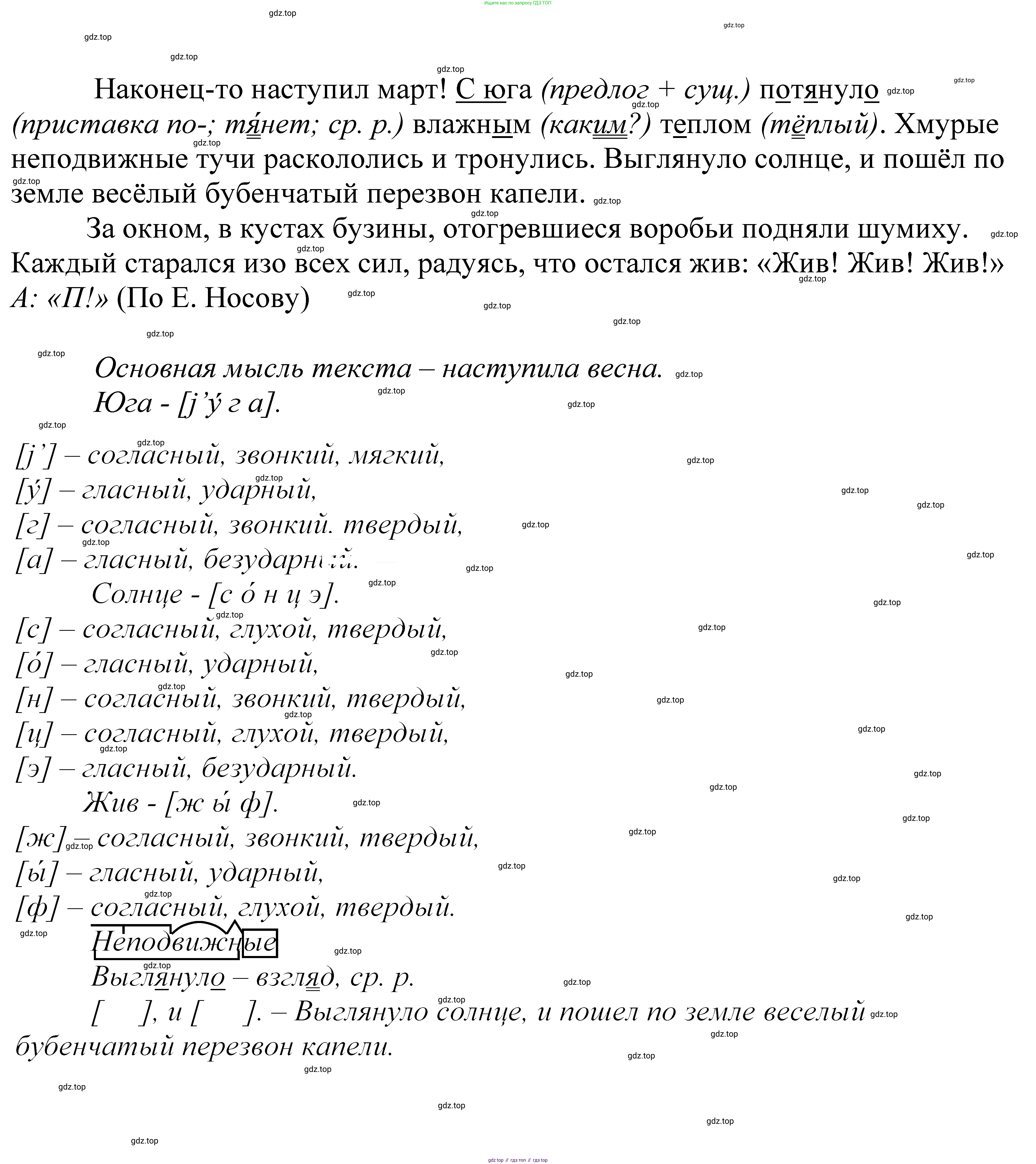 ГДЗ Русский язык, 5 класс Учебник, авторы: Купалова Александра Юльевна, Еремеева Ангелина Павловна, Лидман-Орлова Галина Кузьминична, Пименова Светлана Николаевна, Молодцова Светлана Николаевна, Пахнова Т М, Пичугов Юрий Степанович, Талалаева Л Ф, издательство Просвещение, Москва, 2021, белого цвета, страница 146, номер 448, Решение 2