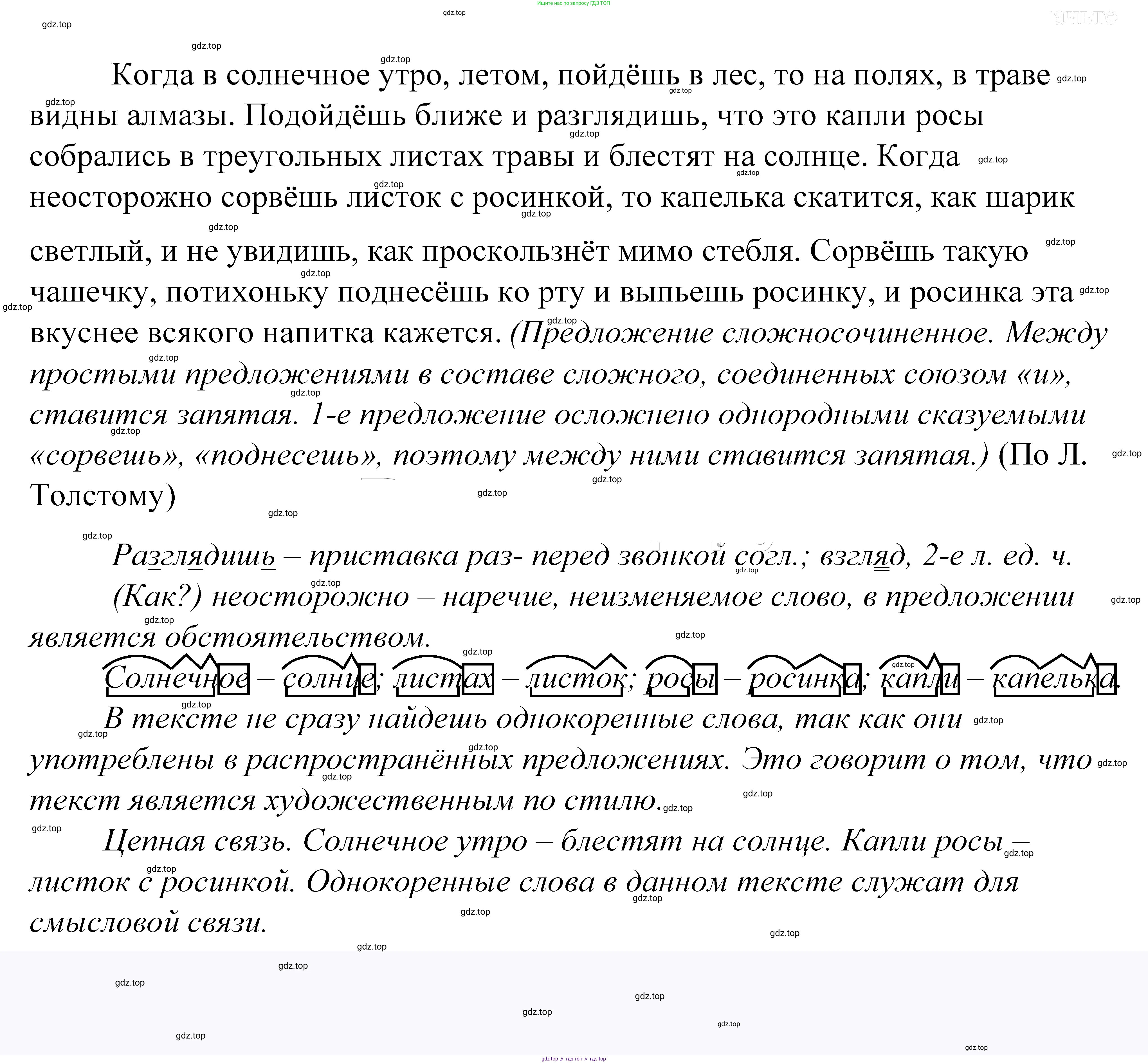 ГДЗ Русский язык, 5 класс Учебник, авторы: Купалова Александра Юльевна, Еремеева Ангелина Павловна, Лидман-Орлова Галина Кузьминична, Пименова Светлана Николаевна, Молодцова Светлана Николаевна, Пахнова Т М, Пичугов Юрий Степанович, Талалаева Л Ф, издательство Просвещение, Москва, 2021, белого цвета, страница 170, номер 536, Решение 2