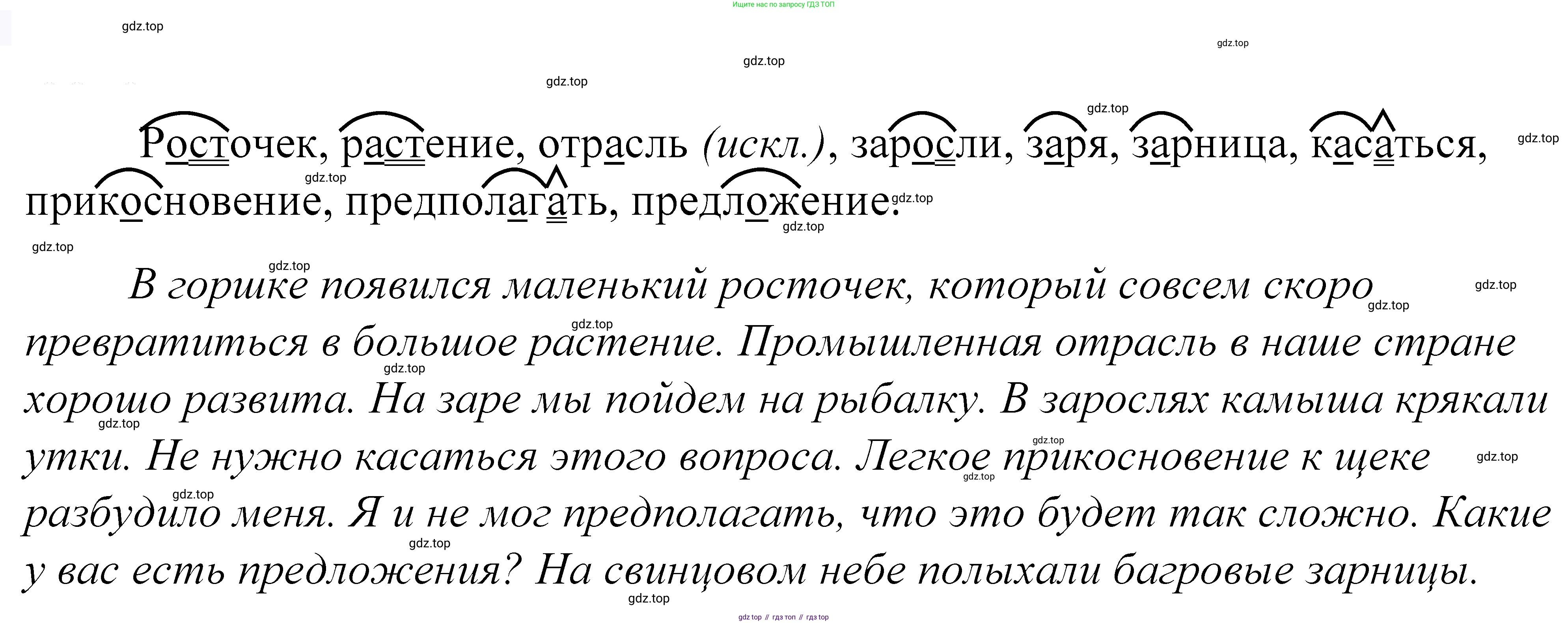 ГДЗ Русский язык, 5 класс Учебник, авторы: Купалова Александра Юльевна, Еремеева Ангелина Павловна, Лидман-Орлова Галина Кузьминична, Пименова Светлана Николаевна, Молодцова Светлана Николаевна, Пахнова Т М, Пичугов Юрий Степанович, Талалаева Л Ф, издательство Просвещение, Москва, 2021, белого цвета, страница 185, номер 593, Решение 2