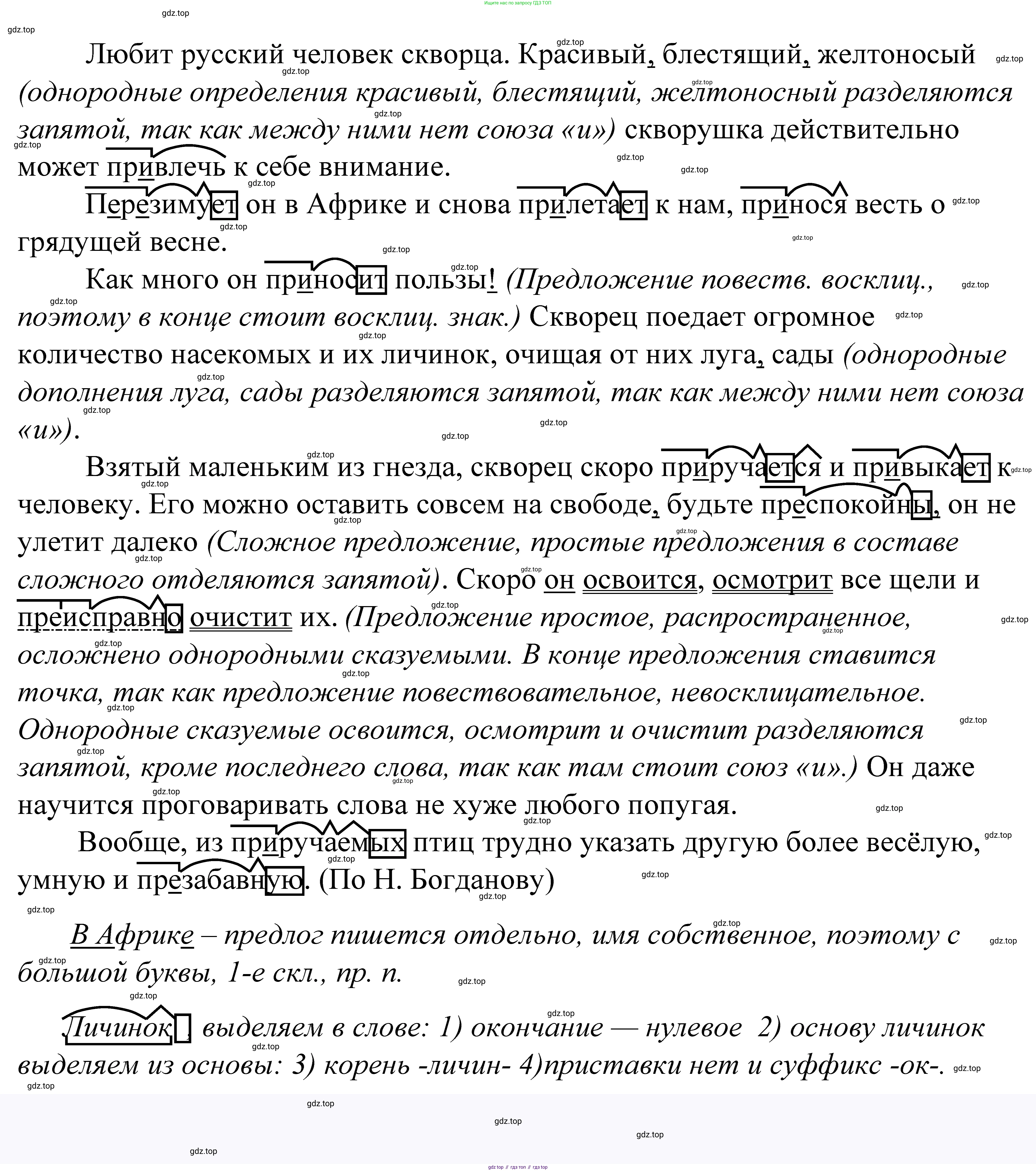 ГДЗ Русский язык, 5 класс Учебник, авторы: Купалова Александра Юльевна, Еремеева Ангелина Павловна, Лидман-Орлова Галина Кузьминична, Пименова Светлана Николаевна, Молодцова Светлана Николаевна, Пахнова Т М, Пичугов Юрий Степанович, Талалаева Л Ф, издательство Просвещение, Москва, 2021, белого цвета, страница 207, номер 683, Решение 2