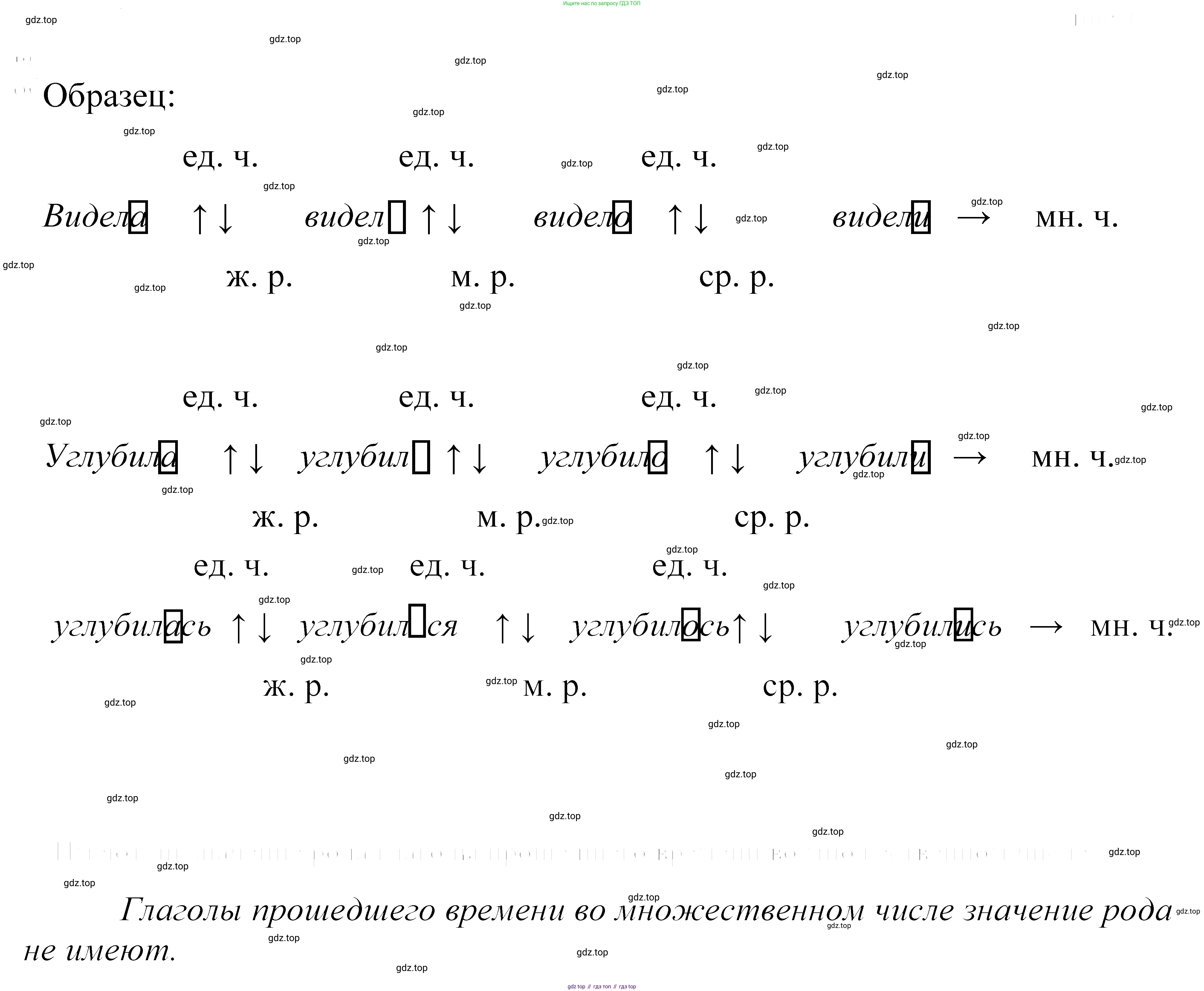 ГДЗ Русский язык, 5 класс Учебник, авторы: Купалова Александра Юльевна, Еремеева Ангелина Павловна, Лидман-Орлова Галина Кузьминична, Пименова Светлана Николаевна, Молодцова Светлана Николаевна, Пахнова Т М, Пичугов Юрий Степанович, Талалаева Л Ф, издательство Просвещение, Москва, 2021, белого цвета, страница 38, номер 90, Решение 2