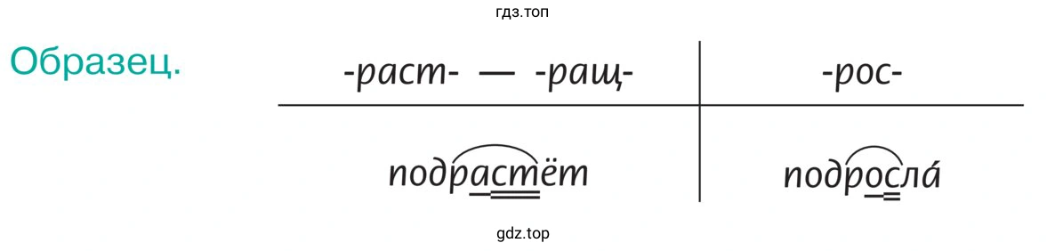 Записать в две колонки слова с вариантами корня раст, ращ, рос