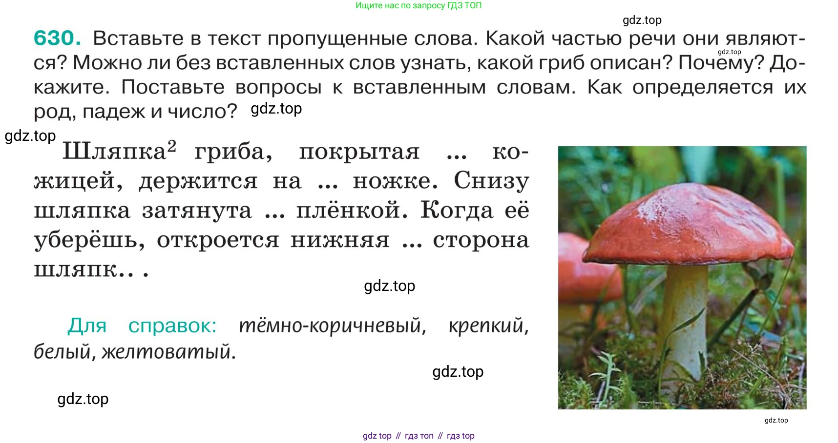 ГДЗ Русский язык, 5 класс Учебник, авторы: Ладыженская Таиса Алексеевна, Баранов Михаил Трофимович, Тростенцова Лидия Александровна, Ладыженская Наталия Вениаминовна, Дейкина Алевтина Дмитриевна, Григорян Лариса Трофимовна, Кулибаба Иван Иванович, Антонова Любовь Геннадиевна, издательство Просвещение, Москва, 2023, салатового цвета, Часть 2, страница 76, номер 630, Условие