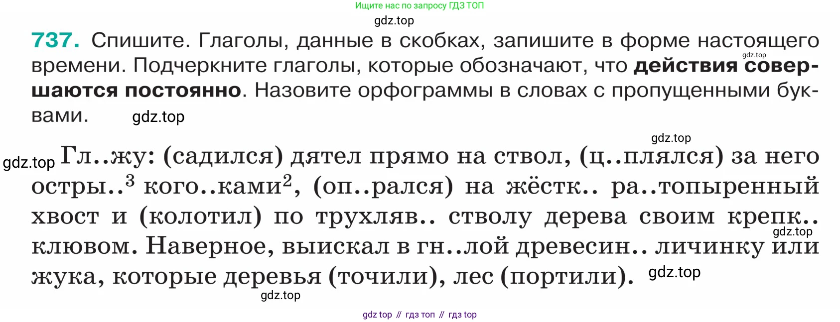 ГДЗ Русский язык, 5 класс Учебник, авторы: Ладыженская Таиса Алексеевна, Баранов Михаил Трофимович, Тростенцова Лидия Александровна, Ладыженская Наталия Вениаминовна, Дейкина Алевтина Дмитриевна, Григорян Лариса Трофимовна, Кулибаба Иван Иванович, Антонова Любовь Геннадиевна, издательство Просвещение, Москва, 2023, салатового цвета, Часть 2, страница 124, номер 737, Условие