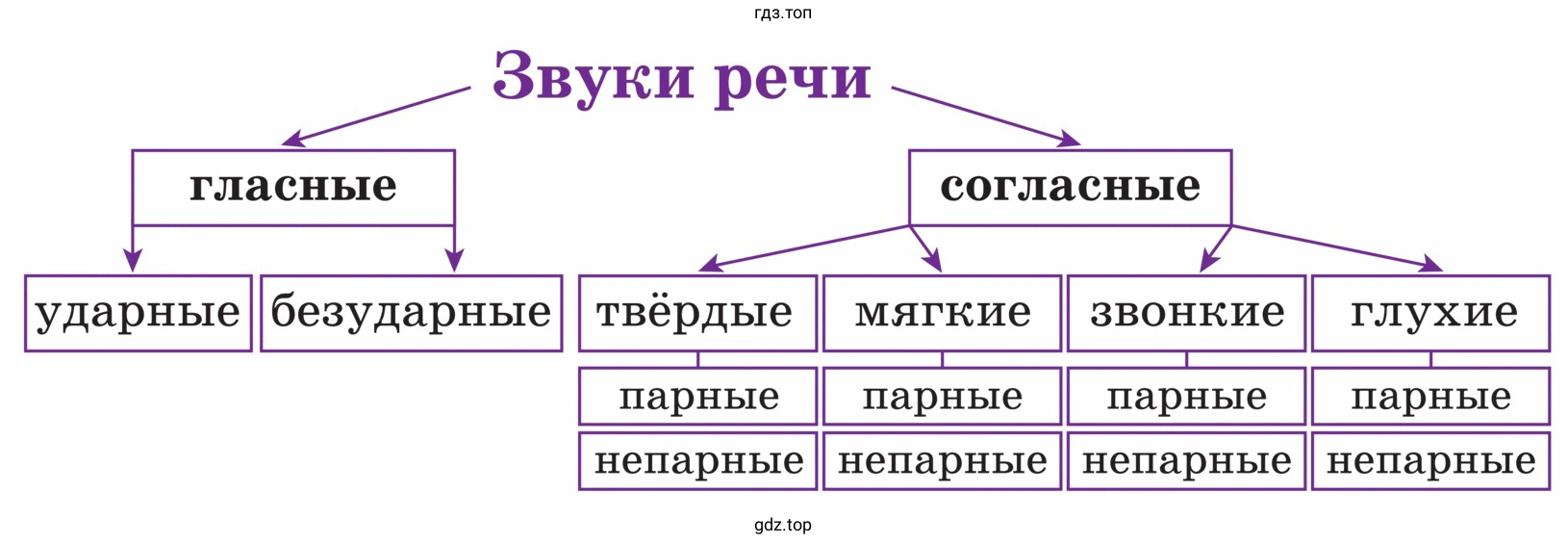 Рассказать, на какие группы и подгруппы делятся звуки в русском языке