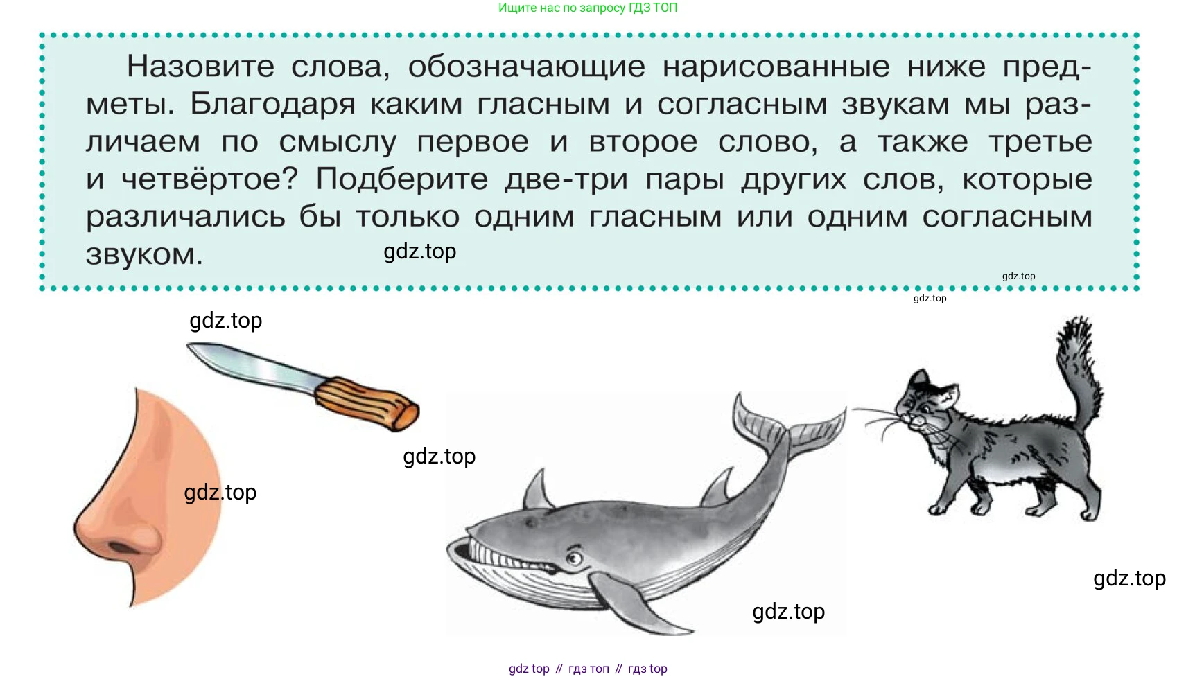 ГДЗ Русский язык, 5 класс Учебник, авторы: Ладыженская Таиса Алексеевна, Баранов Михаил Трофимович, Тростенцова Лидия Александровна, Ладыженская Наталия Вениаминовна, Дейкина Алевтина Дмитриевна, Григорян Лариса Трофимовна, Кулибаба Иван Иванович, Антонова Любовь Геннадиевна, издательство Просвещение, Москва, 2023, салатового цвета, Часть 1, страница 97, Условие