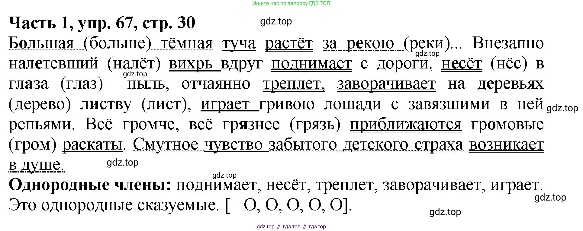 ГДЗ Русский язык, 5 класс Учебник, авторы: Ладыженская Таиса Алексеевна, Баранов Михаил Трофимович, Тростенцова Лидия Александровна, Ладыженская Наталия Вениаминовна, Дейкина Алевтина Дмитриевна, Григорян Лариса Трофимовна, Кулибаба Иван Иванович, Антонова Любовь Геннадиевна, издательство Просвещение, Москва, 2023, салатового цвета, Часть 1, страница 30, номер 67, Решение 1
