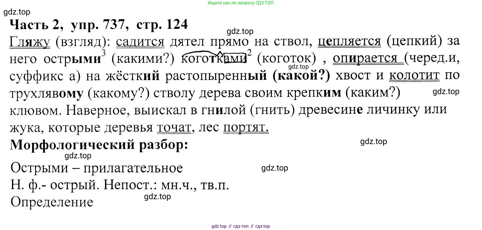 ГДЗ Русский язык, 5 класс Учебник, авторы: Ладыженская Таиса Алексеевна, Баранов Михаил Трофимович, Тростенцова Лидия Александровна, Ладыженская Наталия Вениаминовна, Дейкина Алевтина Дмитриевна, Григорян Лариса Трофимовна, Кулибаба Иван Иванович, Антонова Любовь Геннадиевна, издательство Просвещение, Москва, 2023, салатового цвета, Часть 2, страница 124, номер 737, Решение 1