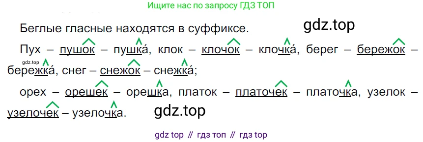 ГДЗ Русский язык, 5 класс Учебник, авторы: Ладыженская Таиса Алексеевна, Баранов Михаил Трофимович, Тростенцова Лидия Александровна, Ладыженская Наталия Вениаминовна, Дейкина Алевтина Дмитриевна, Григорян Лариса Трофимовна, Кулибаба Иван Иванович, Антонова Любовь Геннадиевна, издательство Просвещение, Москва, 2023, салатового цвета, Часть 1, страница 187, номер 393, Решение 3