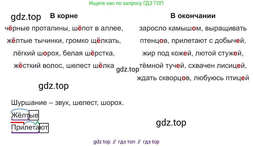 ГДЗ Русский язык, 5 класс Учебник, авторы: Ладыженская Таиса Алексеевна, Баранов Михаил Трофимович, Тростенцова Лидия Александровна, Ладыженская Наталия Вениаминовна, Дейкина Алевтина Дмитриевна, Григорян Лариса Трофимовна, Кулибаба Иван Иванович, Антонова Любовь Геннадиевна, издательство Просвещение, Москва, 2023, салатового цвета, Часть 2, страница 41, номер 542, Решение 3
