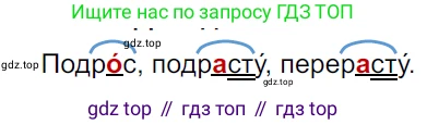 ГДЗ Русский язык, 5 класс Учебник, авторы: Ладыженская Таиса Алексеевна, Баранов Михаил Трофимович, Тростенцова Лидия Александровна, Ладыженская Наталия Вениаминовна, Дейкина Алевтина Дмитриевна, Григорян Лариса Трофимовна, Кулибаба Иван Иванович, Антонова Любовь Геннадиевна, издательство Просвещение, Москва, 2023, салатового цвета, Часть 2, страница 67, номер 610, Решение 3