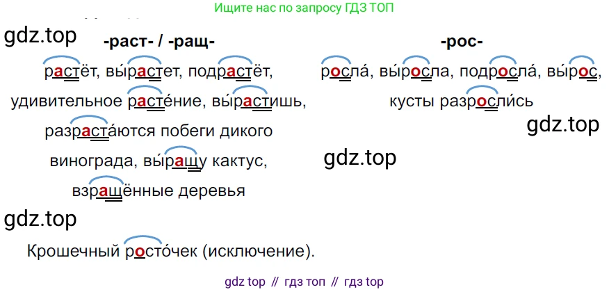 ГДЗ Русский язык, 5 класс Учебник, авторы: Ладыженская Таиса Алексеевна, Баранов Михаил Трофимович, Тростенцова Лидия Александровна, Ладыженская Наталия Вениаминовна, Дейкина Алевтина Дмитриевна, Григорян Лариса Трофимовна, Кулибаба Иван Иванович, Антонова Любовь Геннадиевна, издательство Просвещение, Москва, 2023, салатового цвета, Часть 2, страница 67, номер 611, Решение 3