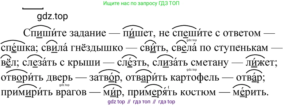 ГДЗ Русский язык, 5 класс Учебник, авторы: Ладыженская Таиса Алексеевна, Баранов Михаил Трофимович, Тростенцова Лидия Александровна, Ладыженская Наталия Вениаминовна, Дейкина Алевтина Дмитриевна, Григорян Лариса Трофимовна, Кулибаба Иван Иванович, Антонова Любовь Геннадиевна, издательство Просвещение, Москва, 2023, салатового цвета, Часть 1, страница 11, номер 19, Решение 4